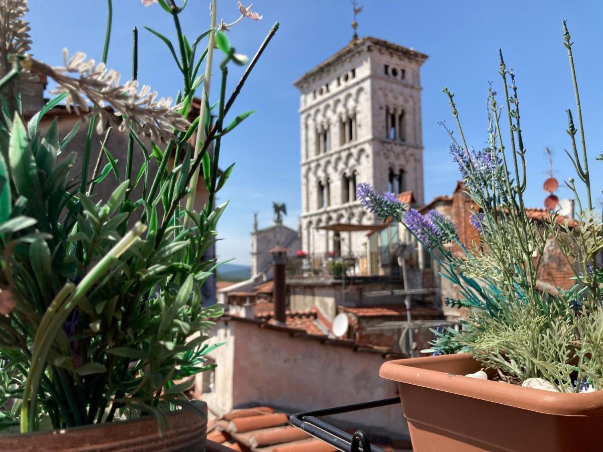 Terrazza San Michele - Affitti Brevi Italia Lägenhet Lucca Exteriör bild